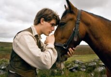 پنج دلیل برای صحبت کردن روزانه با اسب‌تان | رایمون متخصص تغذیه اسب | 5