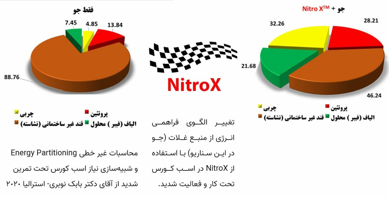 نایتروکس | ™NitroX | رایمون راهکارهای جامع اسبداری | 2