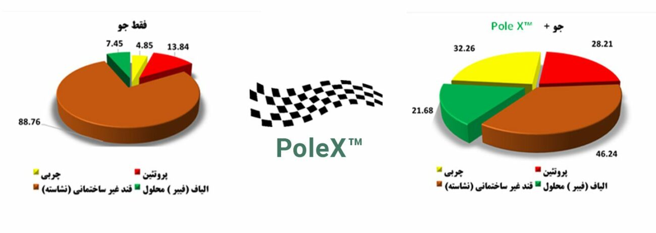 پل ایکس | ™Pole X | رایمون راهکارهای جامع اسبداری | 3