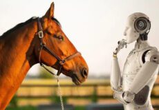 کاربرد هوش مصنوعی در تغذیه اسب | رایمون متخصص تغذیه اسب | 4