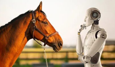کاربرد هوش مصنوعی در تغذیه اسب | رایمون متخصص تغذیه اسب | 1