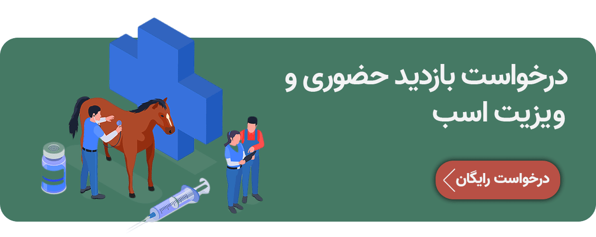 معاینه اسب گروه رایمون